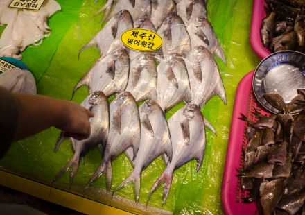 겨울 포항 수산시장의 과메기 판매대